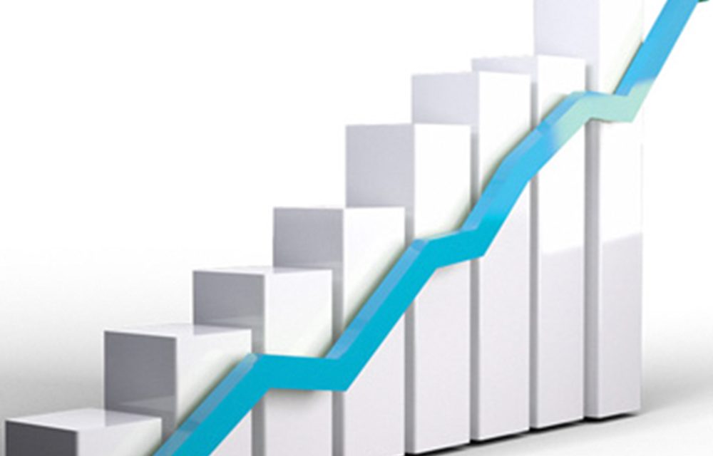 Plastik Gogić Company in 2017